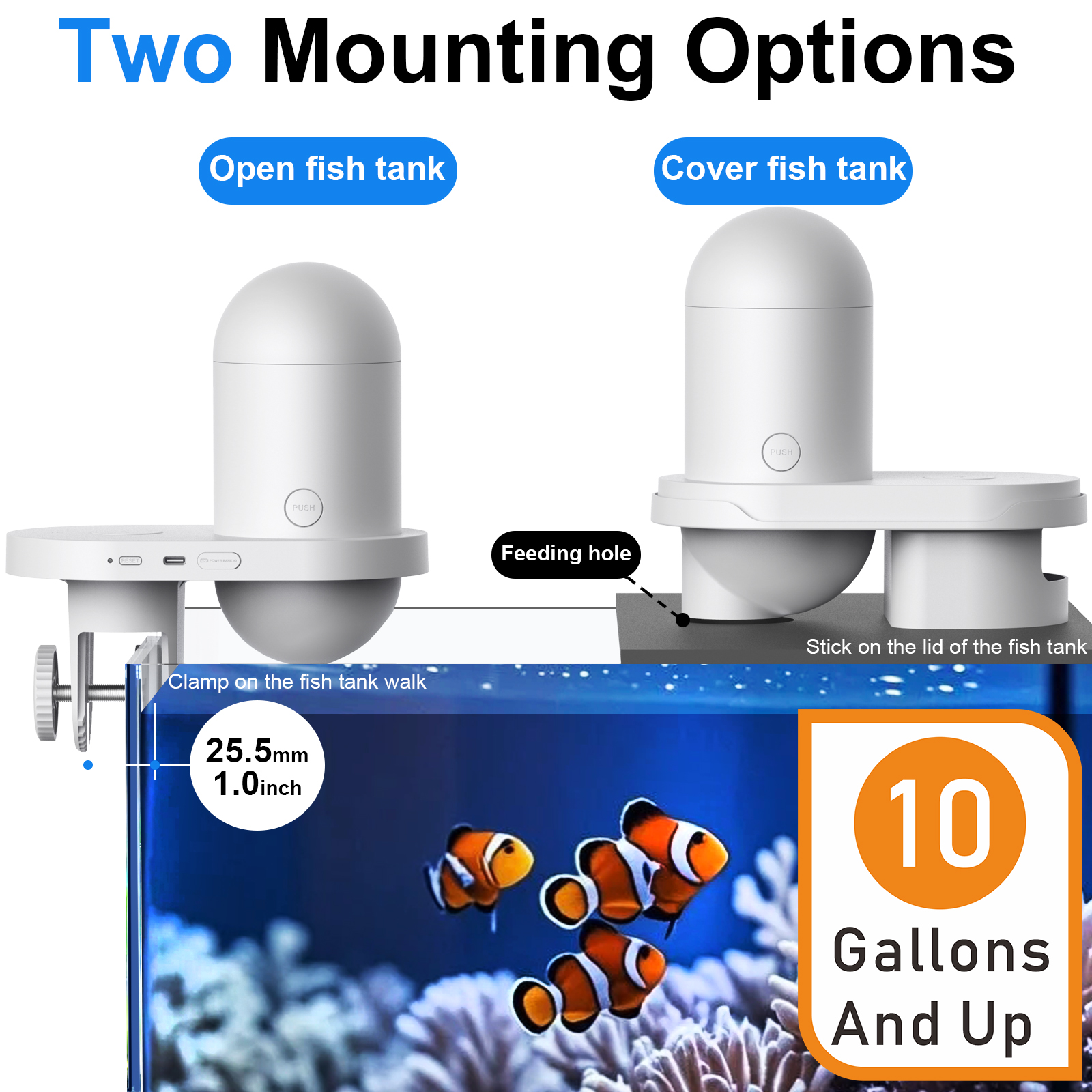 Automatic Fish Feeder With Cam - Fishing Line Dispenser recension och pris