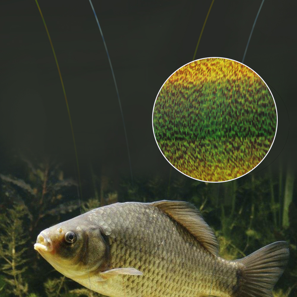 FTK 300M Invisible Fishing Lin - Fluorocarbon Line recension och pris